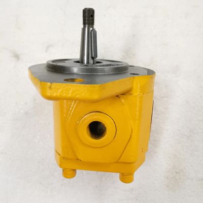 Steel Hydraulic Gear Pump with 10T Tooth 11KW Power and 160KG-250KG Pressure for Industrial Applications