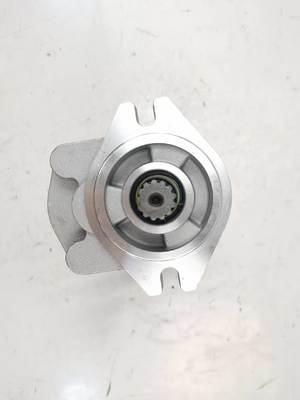 CBKZ-F452-A1L2Φ13T Гидравлический шестеренный насос среднего высокого давления для экскаватора, погрузчика, буровой установки, крана