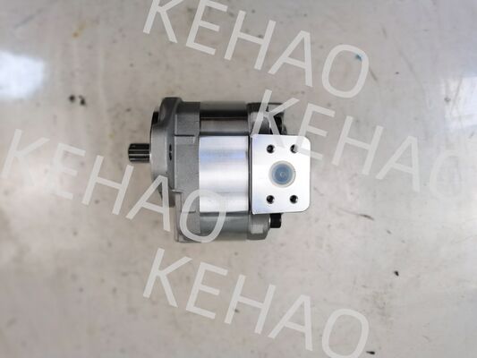 Насос гидравлического редуктора серии D41 включая D41-45CC ((R) D41-6E+40-28CCR D41-400C ((R) с потоком 1060lpm из нержавеющей стали AISI и годовой гарантией