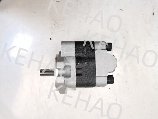 PVSD2-21 Гидравлический насос редуктор железо и алюминиевые сплавы материалы Диапазон для строительных машин Фабрика поставки гидравлические детали на заказ