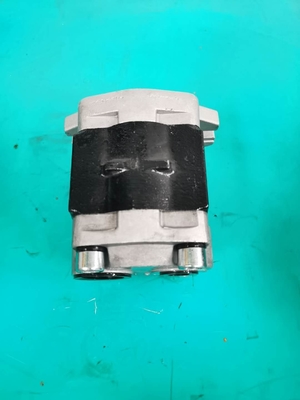 Насосы с зубчатой передачей D50P D50S гидротехник SGP1-F36-ALΦ10L h коммерчески