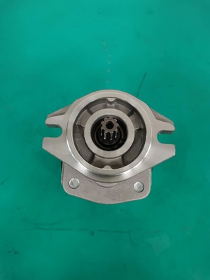 Серия Siver насоса с зубчатой передачей SGP1AF25-ALΦ9 r SGP OEM и чернота